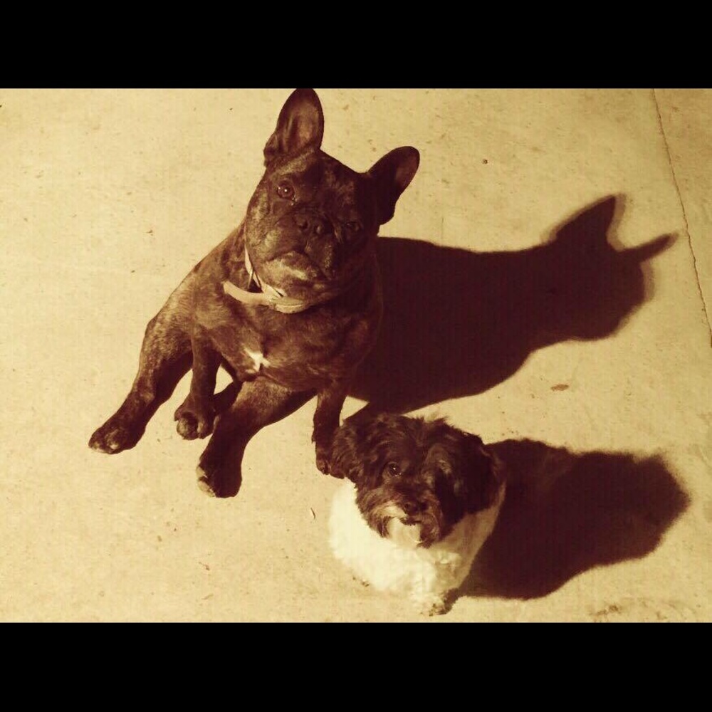 Meet your Posher, Chase